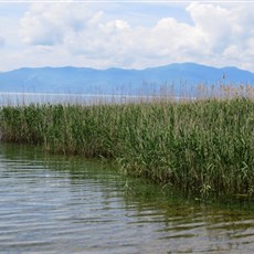 Lake Iznik