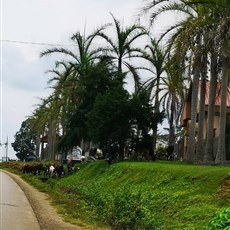 Bitam, Gabon to Ambam, Cameroon