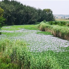 Kempton Park to Bronkhorstspruit