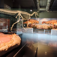 Kgodumodumo Dinosaur Centre