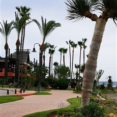 Playa de la Duquesa to Marbella