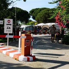 Camping la Buganvilla, Marbella