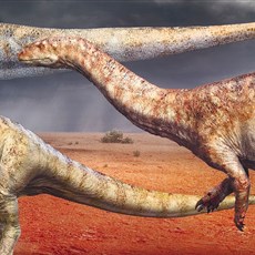 Kgodumodumo Dinosaur Centre
