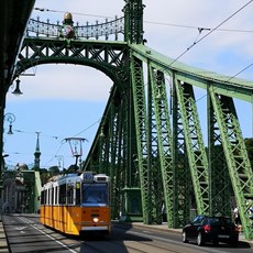 Freedom Bridge