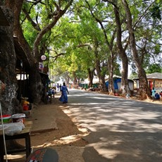 Bissau to Ingoré