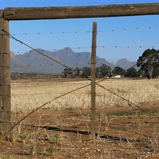 Piketberg to Kardoesie