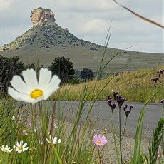 Between Clarens and Wepener