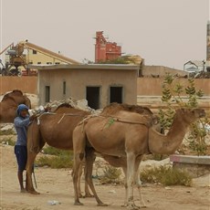 Nouakchott to Les Sultanes