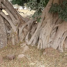 Keur Ayip to Kaolack - laterite stone