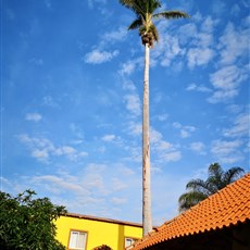 Chibia accommodation