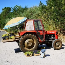 Matka Canyon to Tetovo