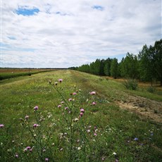 Dömsöd to Kisizsak