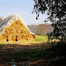 Tetovo