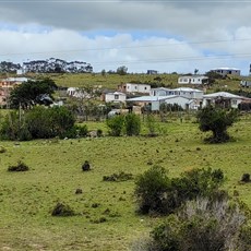 Between Kidd's Beach and Port Alfred