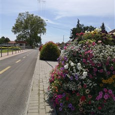 Kiskunmajsa to Szeged