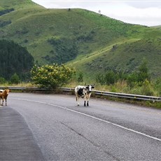 Lydenberg to Pilgrim's Rest