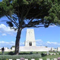 Gallipoli pine tree at Australian memorial