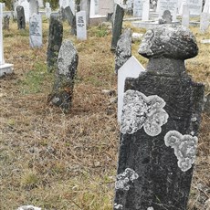 Tetovo graveyard