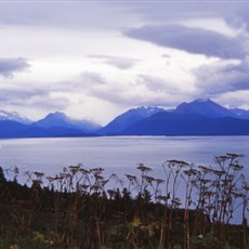 Homer, Alaska
