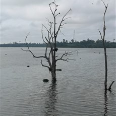 Zoukougbeu to Duékoué - Buyo Dam