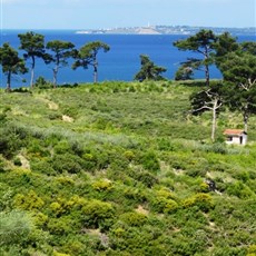 Between Çanakkale and Levfikiye