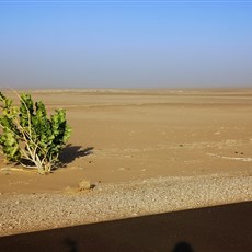 Chami to Tasiast Mine intersection