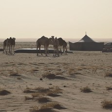 Chami to Tasiast Mine intersection