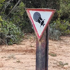 Addo Elephant Park