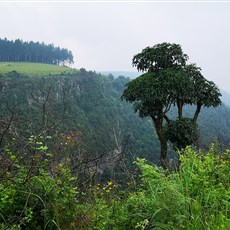 Pilgrim's Rest to Sabie