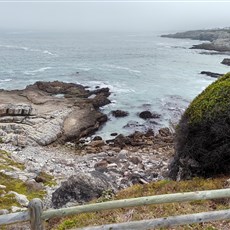 Hermanus 