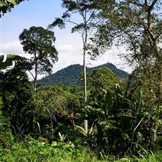 Yaoundé to Chinese camp