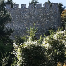 Ohrid