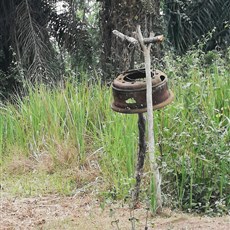 Loubetsi to Nyanga - church bell