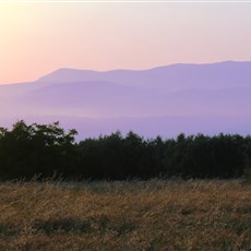 Between Akhisar and Salihli