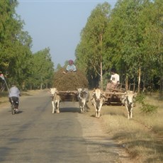 En route Nyaung U