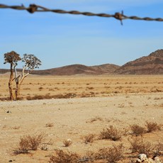 Steinkopf to Vioolsdrif and Noordoewer, Namibia