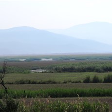 Between Akhisar and Salihli