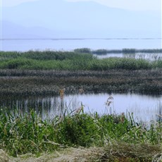 Between Akhisar and Salihli