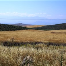 Between Akhisar and Salihli