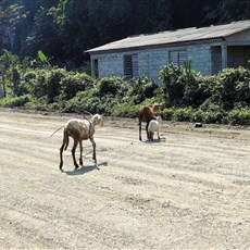 Baracoa to Moa