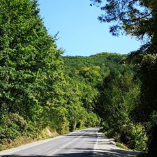 Ohrid to Resen