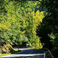 Ohrid to Resen