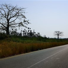 Canjala to Casa Branca