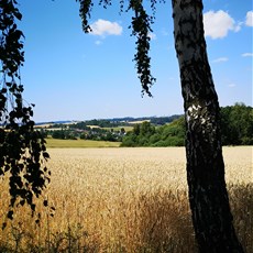 Ondřejov to near Řásná
