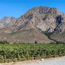 Between Cape Town and Graaff-Reinet