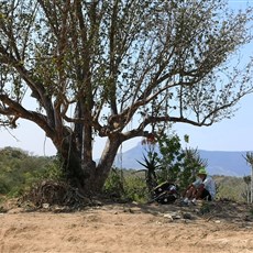 Canjala to Casa Branca