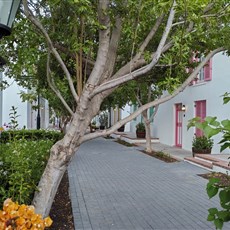 Stretch Court, Graaff-Reinet