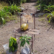 Holguin to Gibara