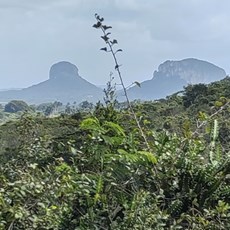 Holguin to Gibara