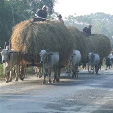 Between Naypyidaw and the Payagyi junction